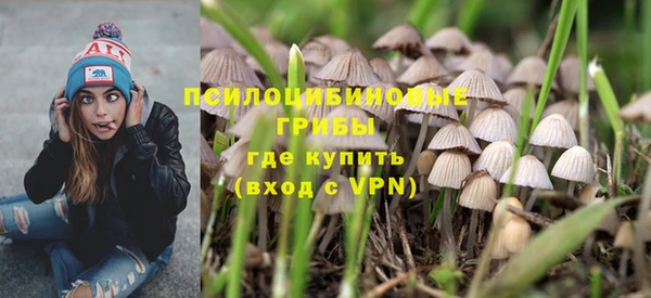МДПВ Аркадак
